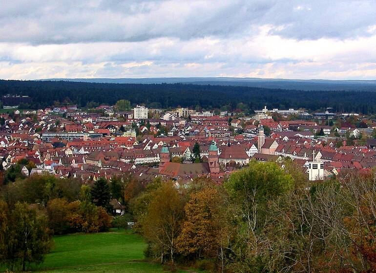 Volontariat franco-allemand à Freudenstadt